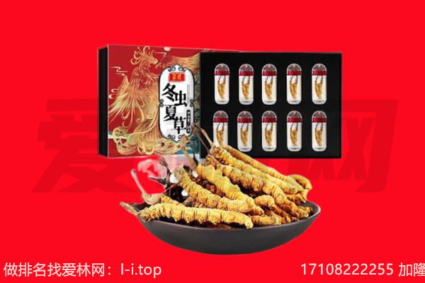 上高县回收虫草.jpg